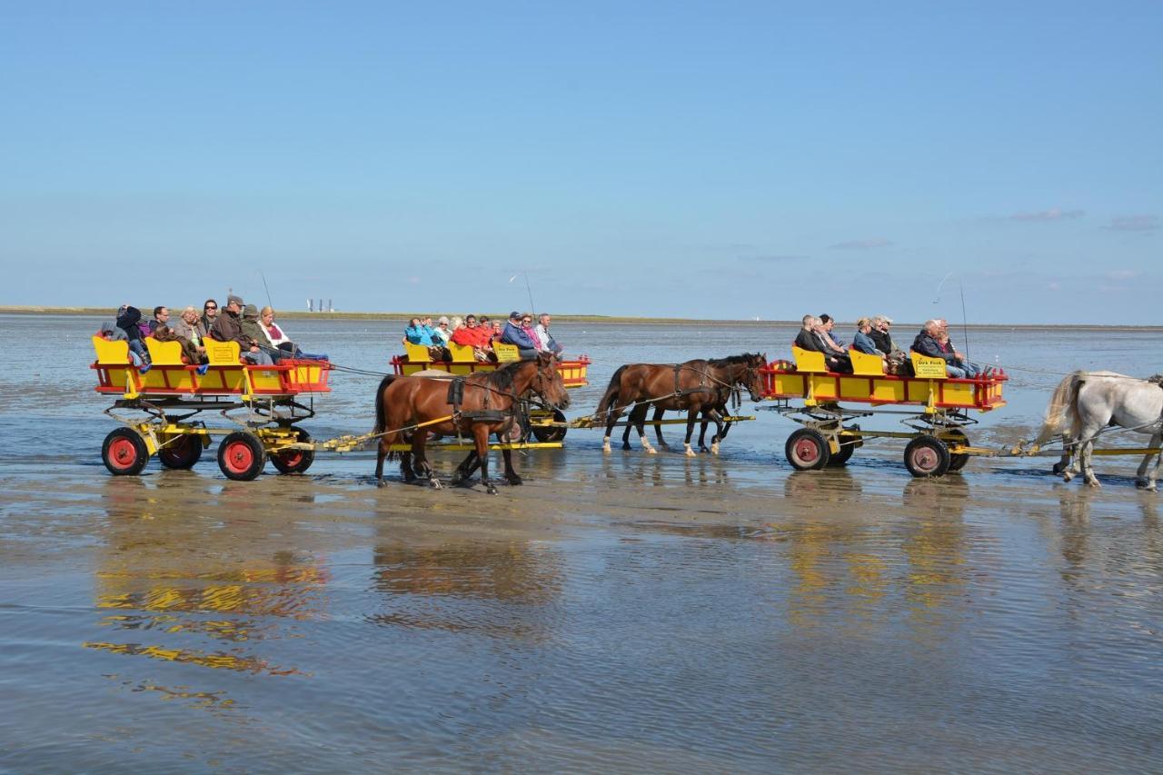 Luettje Huus Frieda Mit Strandkorb Am Strand Von Mai Bis September Apartamento Cuxhaven Exterior foto